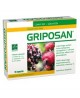 GRIPOSAN