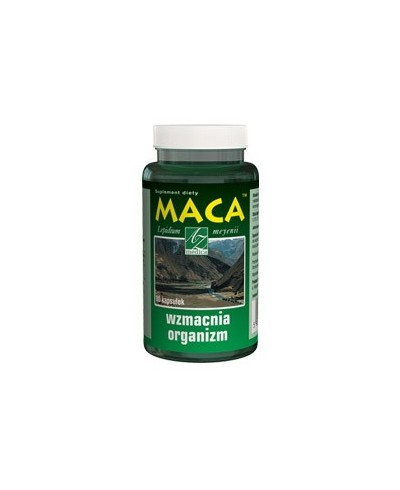 MACA
