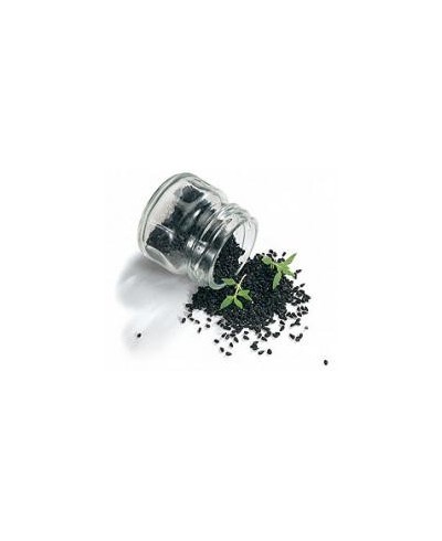Olej z czarnego kminku (Nigella sativa) 