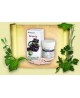 Aronia kaps.