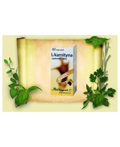 L-karnityna kaps.