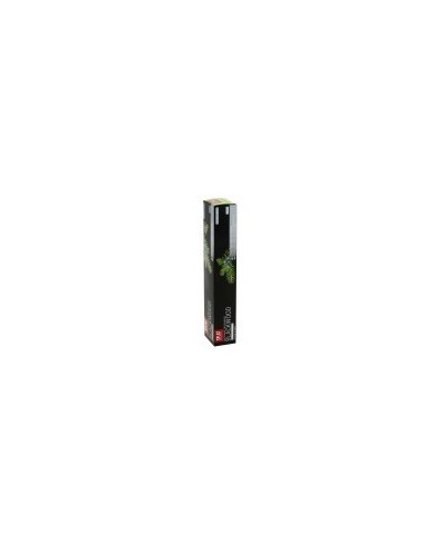 Pasta do zębów SPLAT Blackwood 75ml